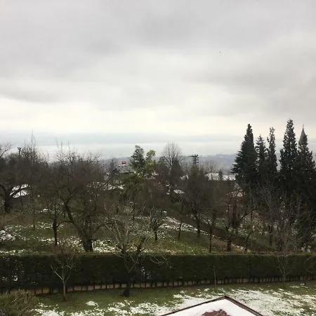 Villa Sapanca Saray Vılla