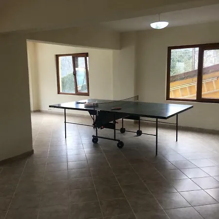 Villa Sapanca Saray Vılla *