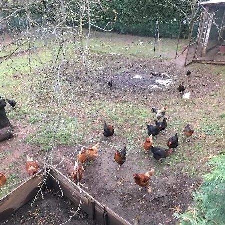 Sapanca Saray Vılla