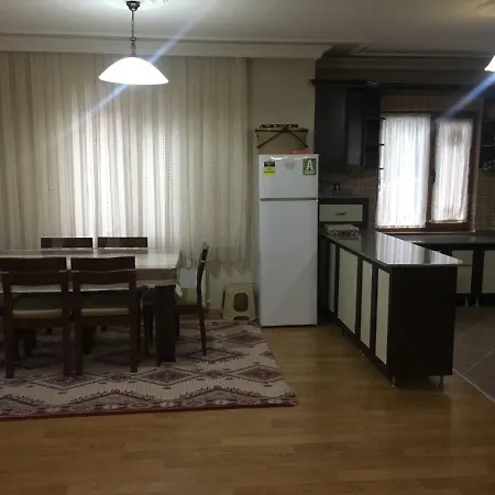 Sapanca Saray Vılla *