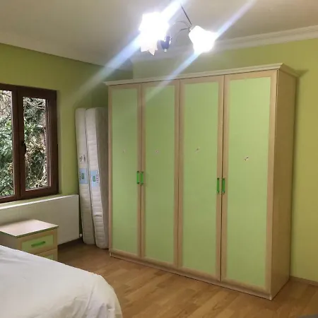 Sapanca Saray Vılla *