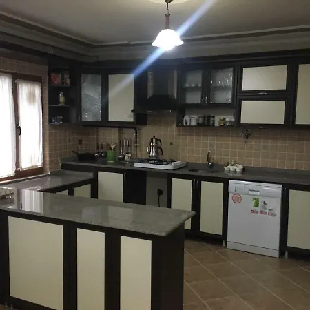 Villa Sapanca Saray Vılla Sakarya (Marmara)