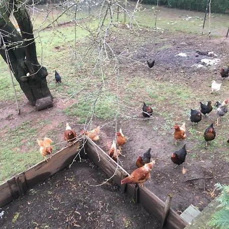 Sapanca Saray Vılla Sakarya (Marmara)