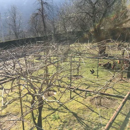 Villa Sapanca Saray Vılla *